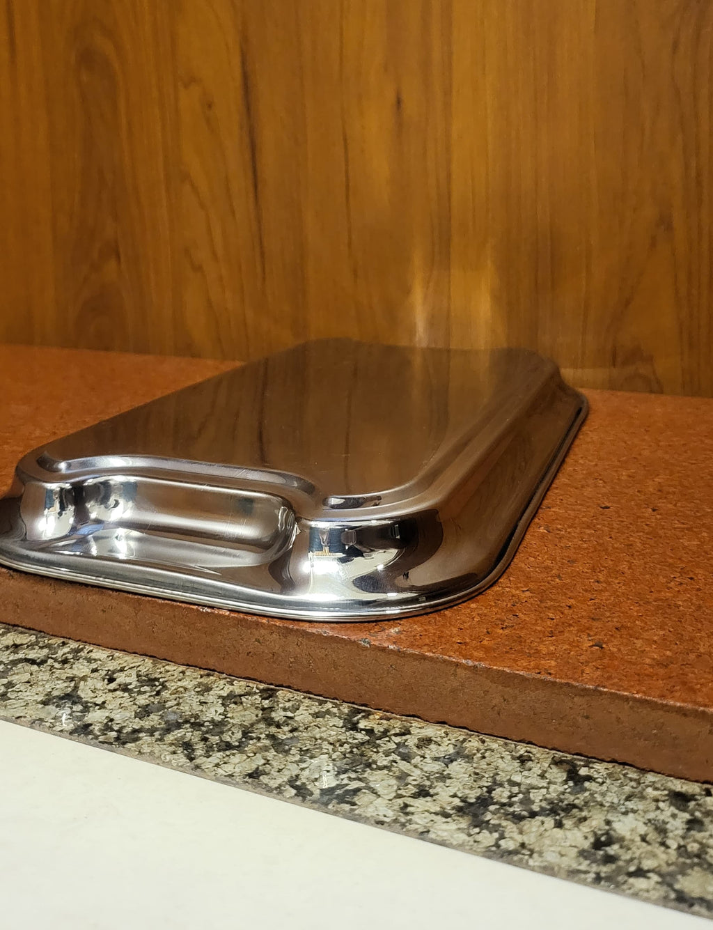 Stainless Steel Lemon Tray with Tree Design – Multipurpose Serving Tray | Buy 1 Get 1 Free